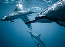 九游体育：让热爱从屏幕跃动到生活的每一刻